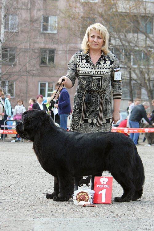 Фотография № 151567