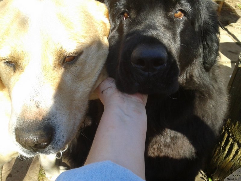 Фотография № 151612