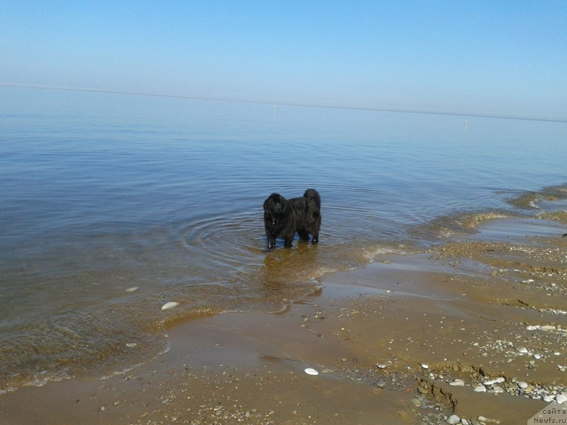 Фотография № 151620