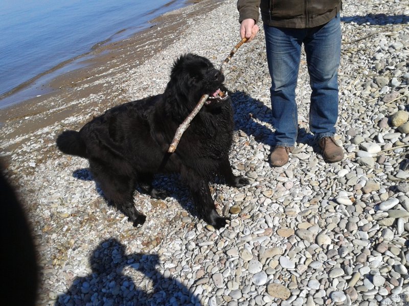 Фото: [d12532] и на прогулке с папой...