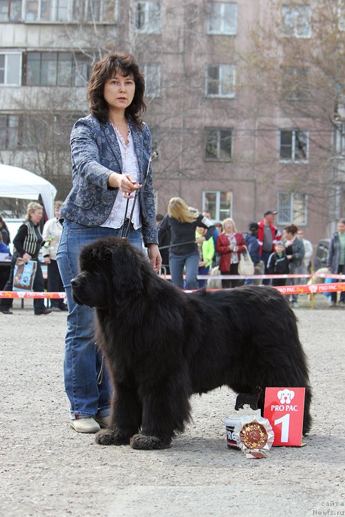 Фотография № 151624