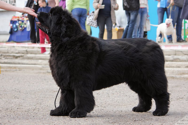 Фотография № 151634