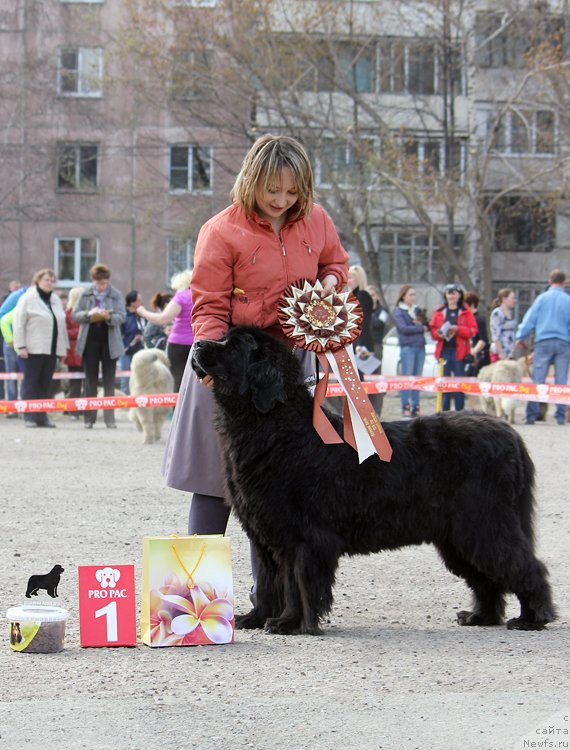 Фотография № 151635