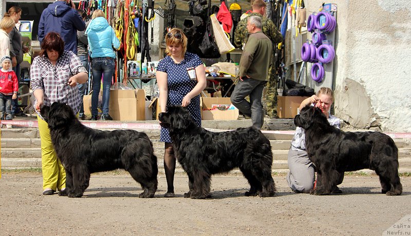 Фотография № 151637