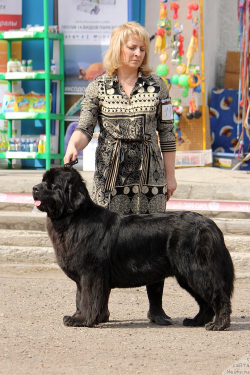 Фотография № 151639