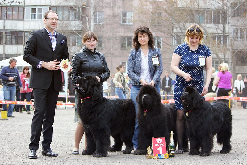 Фотография № 151642