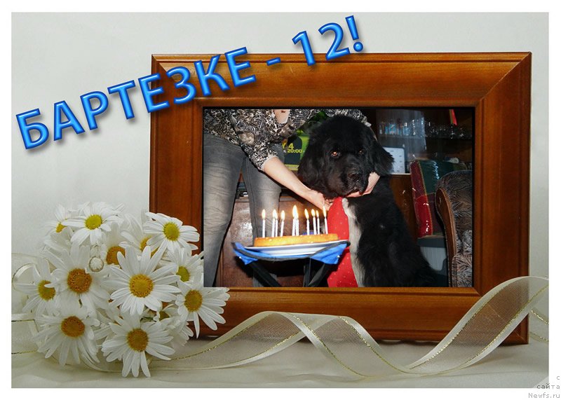 Фотография № 151644