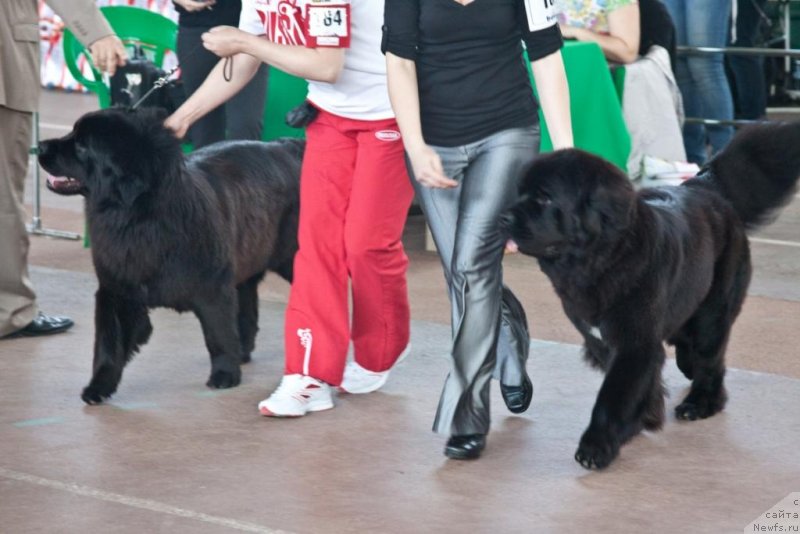 Фотография № 151653