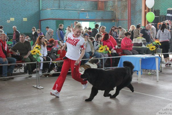 Фотография № 151655