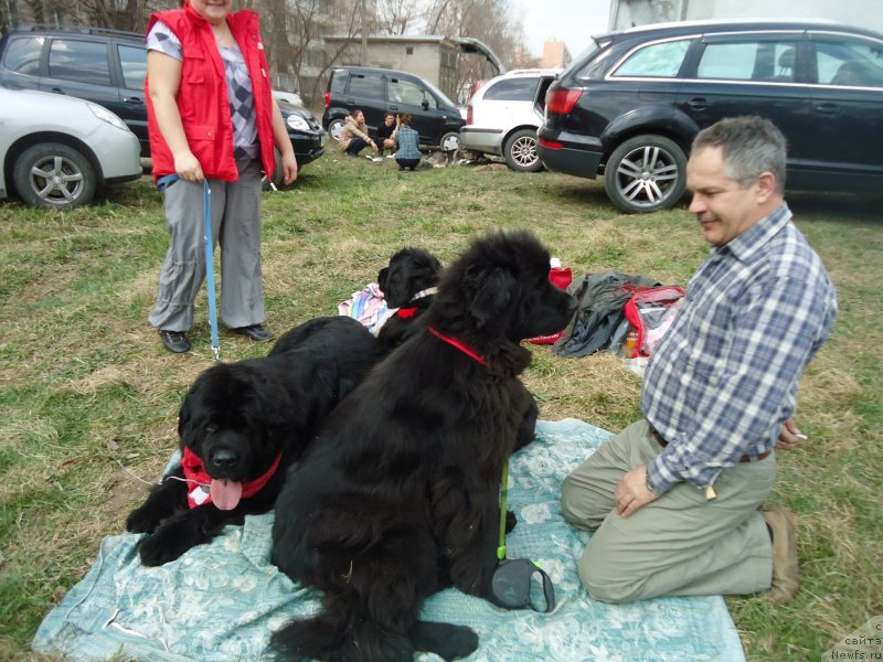 Фотография № 151667