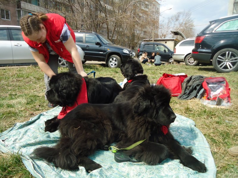 Фотография № 151668