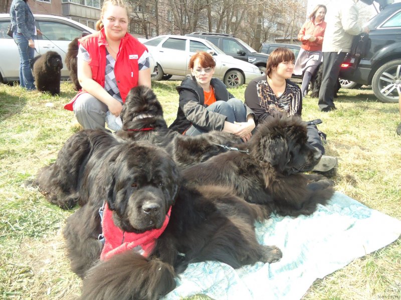 Фотография № 151670