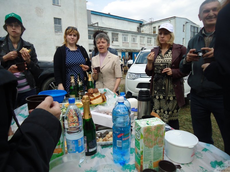 Фотография № 151671