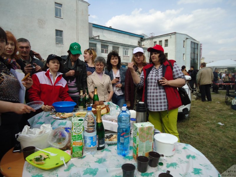 Фотография № 151672