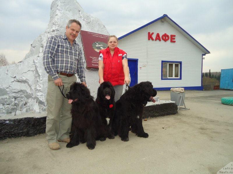 Фотография № 151674