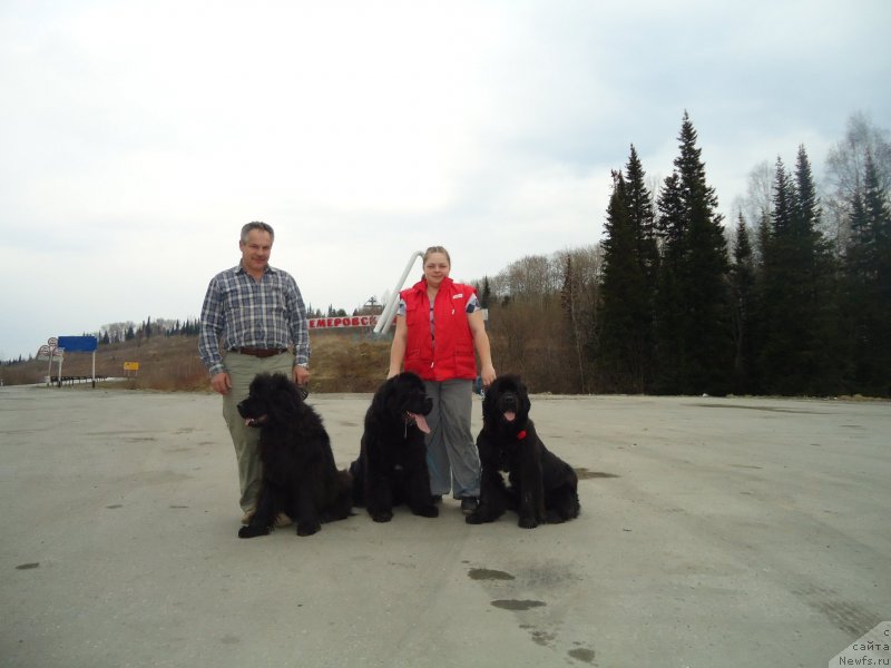 Фотография № 151675