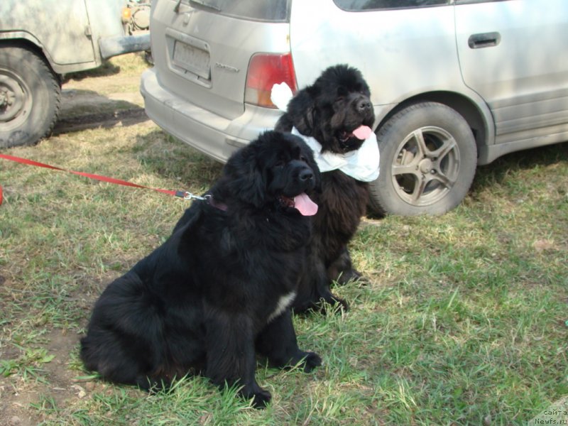 Фотография № 151692