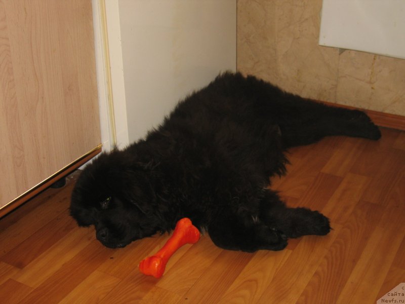 Фотография № 151712