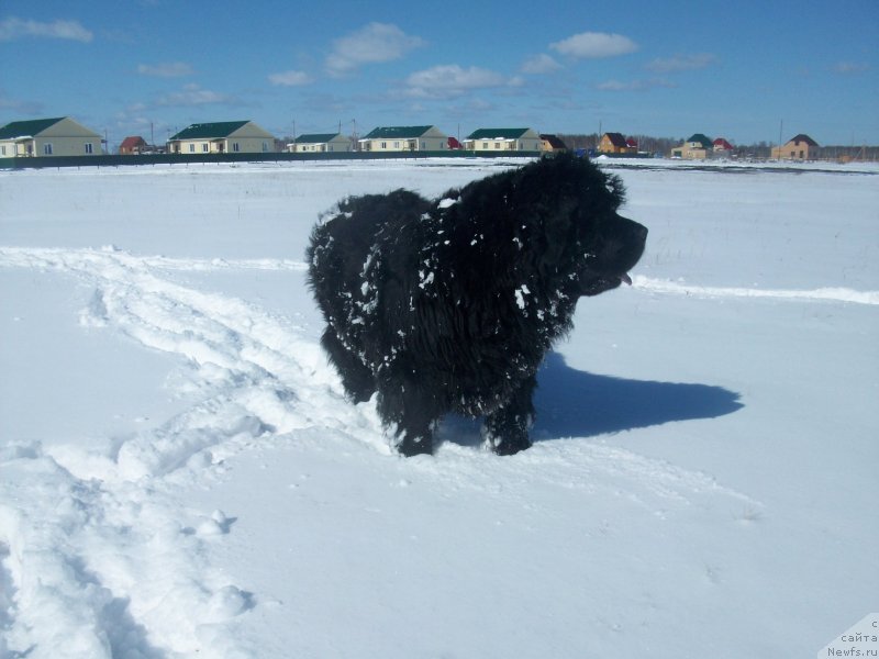 Фотография № 151755