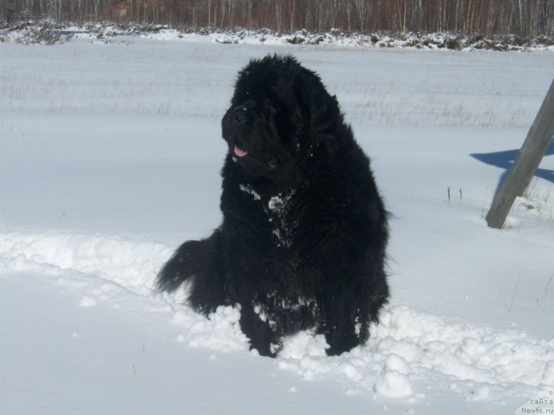 Фотография № 151758