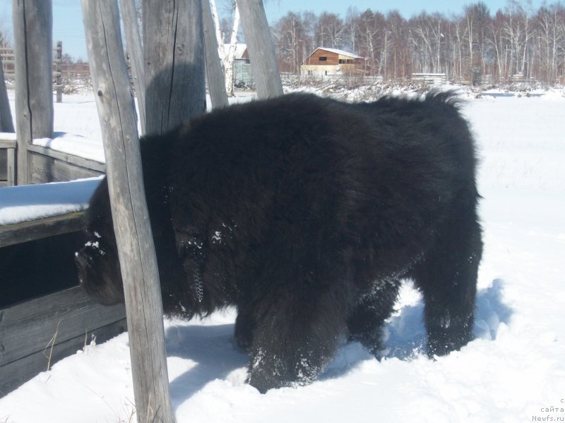 Фотография № 151759