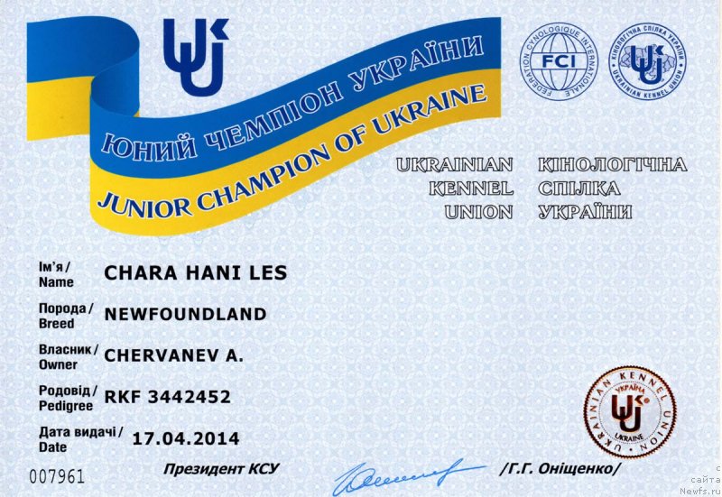 Фото: ньюфаундленд Chara Hani Les (Чара Хани Лес)