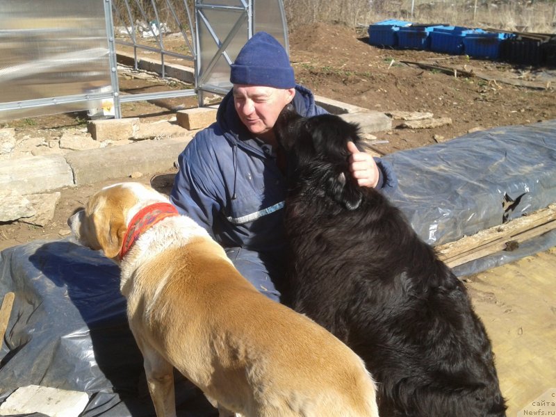 Фото: [d12532] и САО Барсик