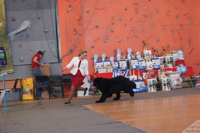 Фотография № 151821