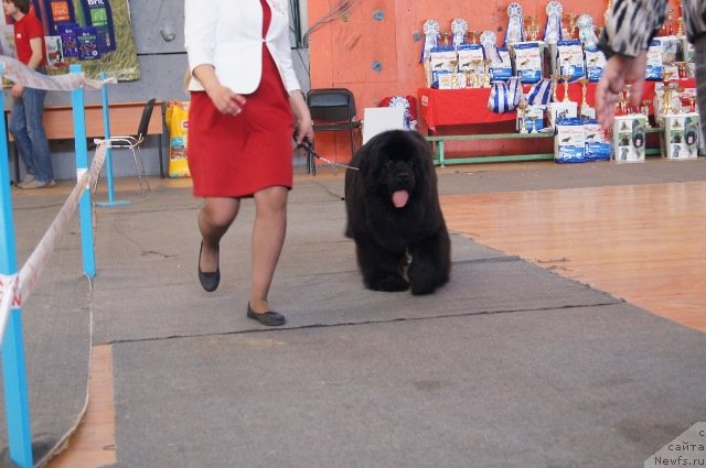 Фотография № 151822