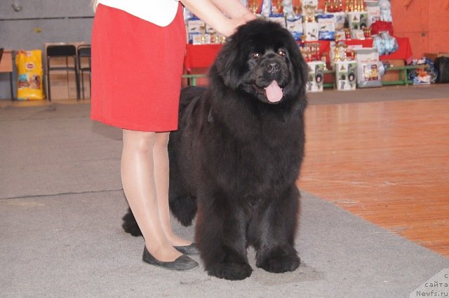 Фотография № 151823