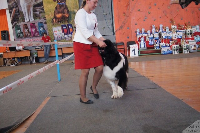 Фотография № 151825