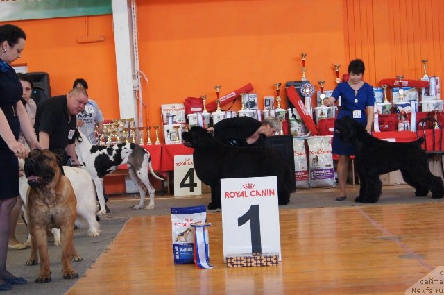 Фотография № 151826