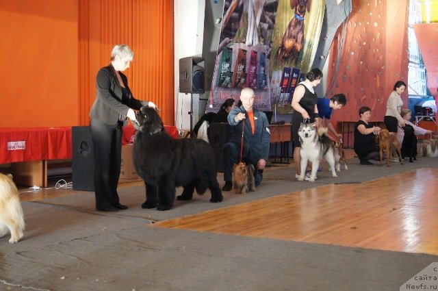 Фотография № 151827