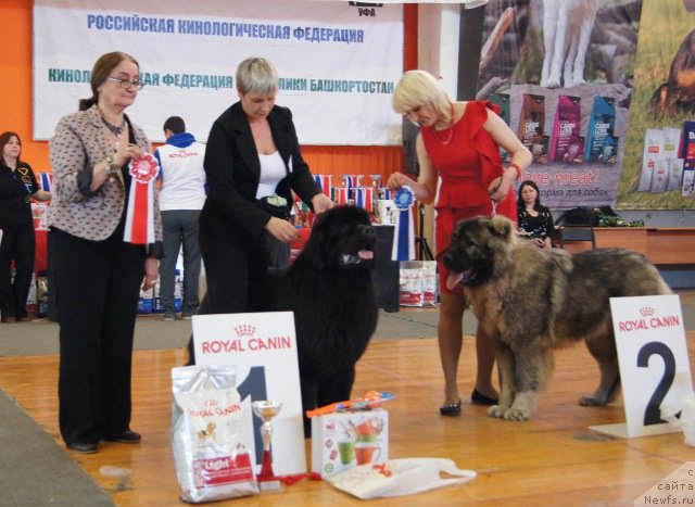 Фотография № 151830