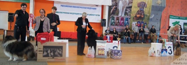 Фотография № 151832