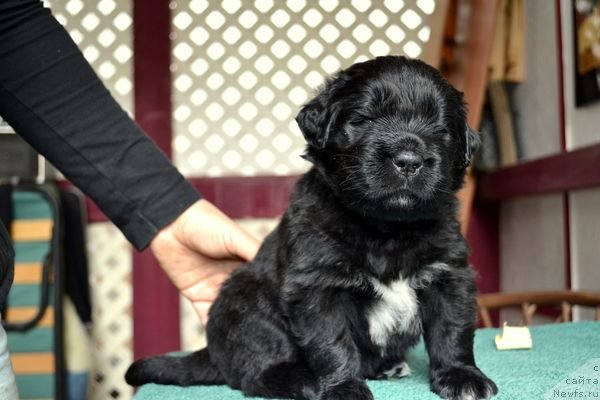 Фотография № 151865