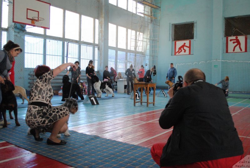 Фотография № 151884