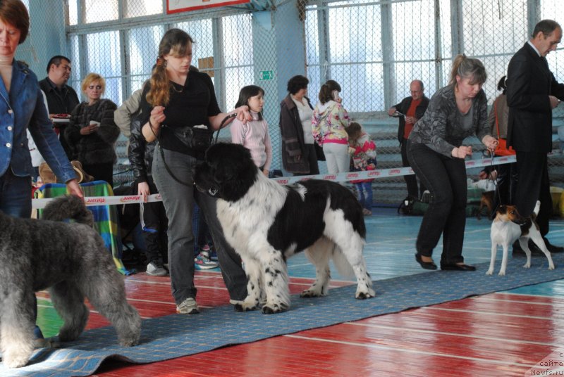 Фотография № 151886