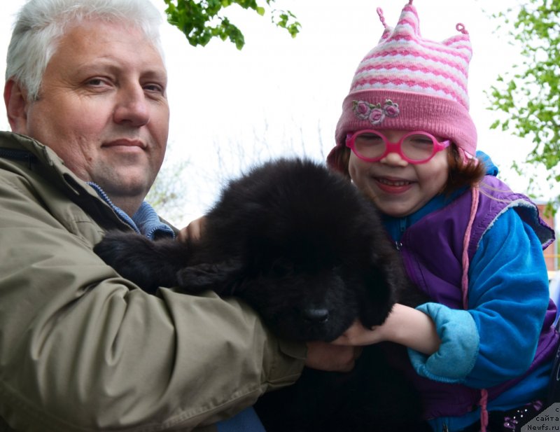 Фотография № 151891