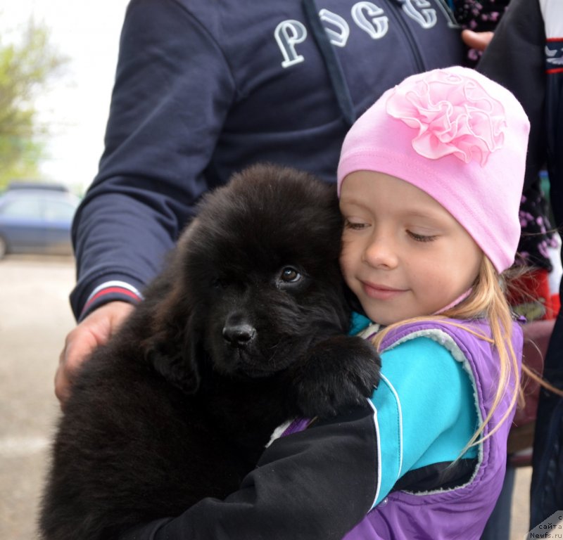 Фотография № 151892