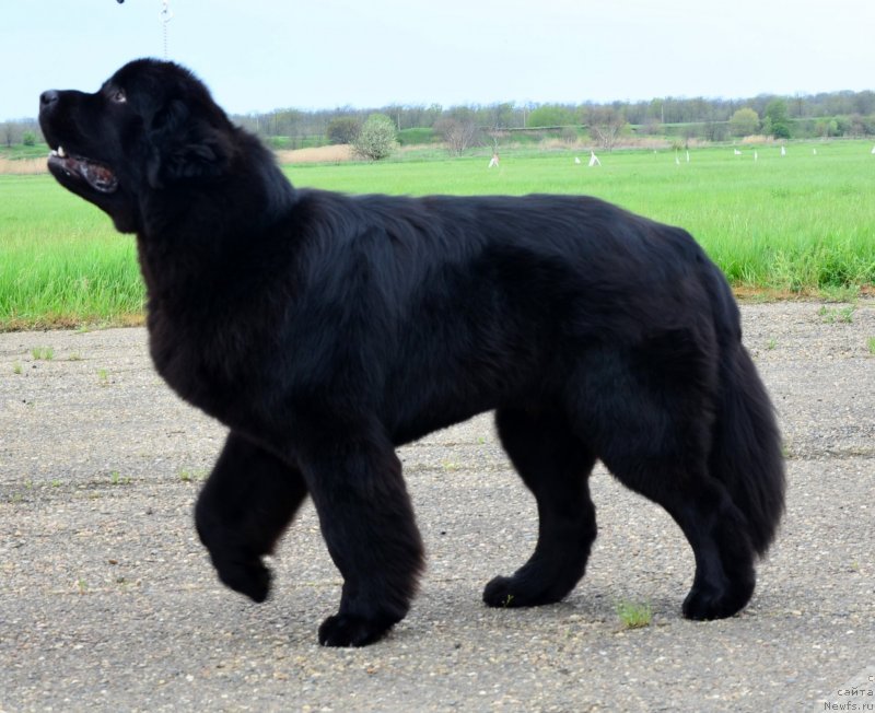 Фотография № 151893