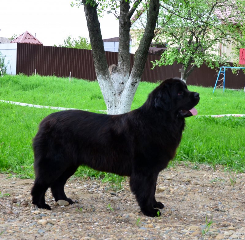 Фотография № 151926