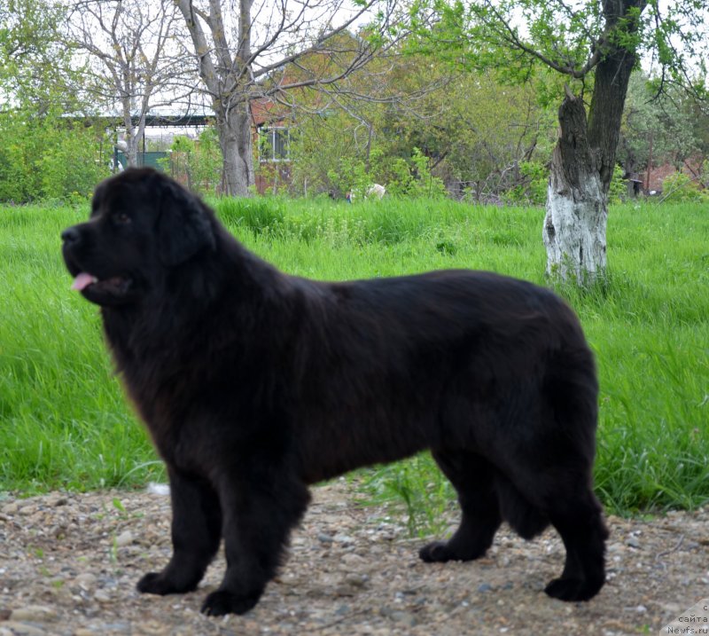 Фотография № 151929