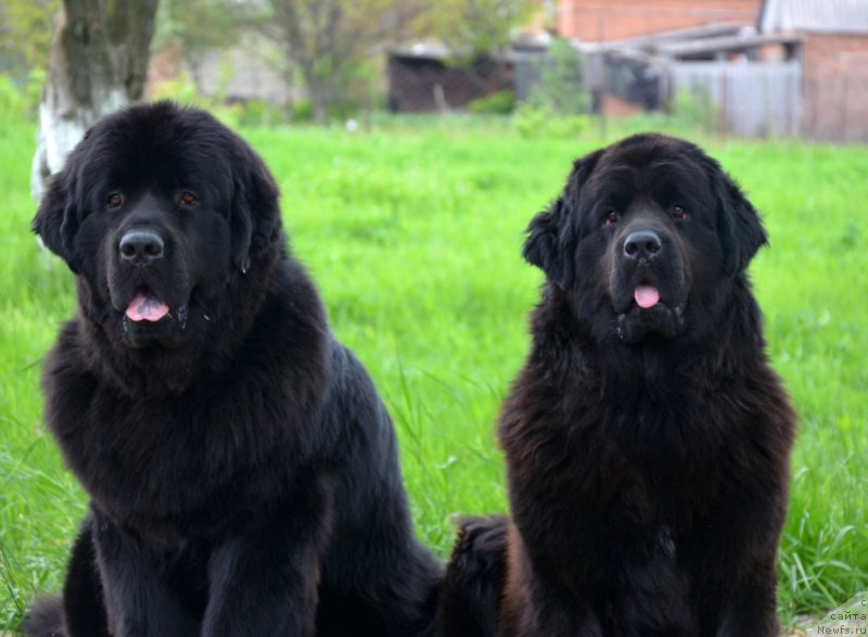 Фотография № 151931