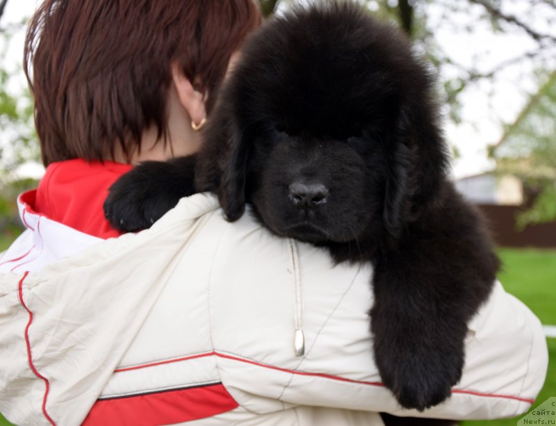 Фотография № 151934