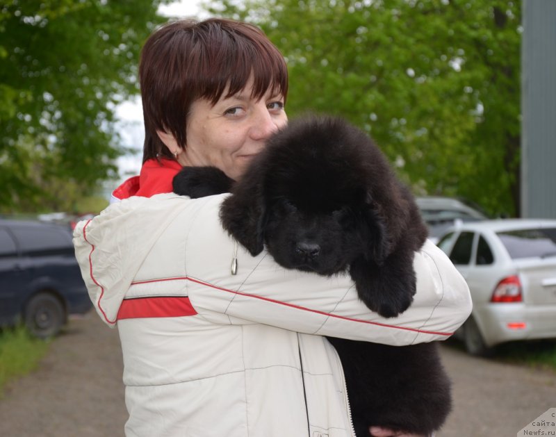 Фотография № 151937