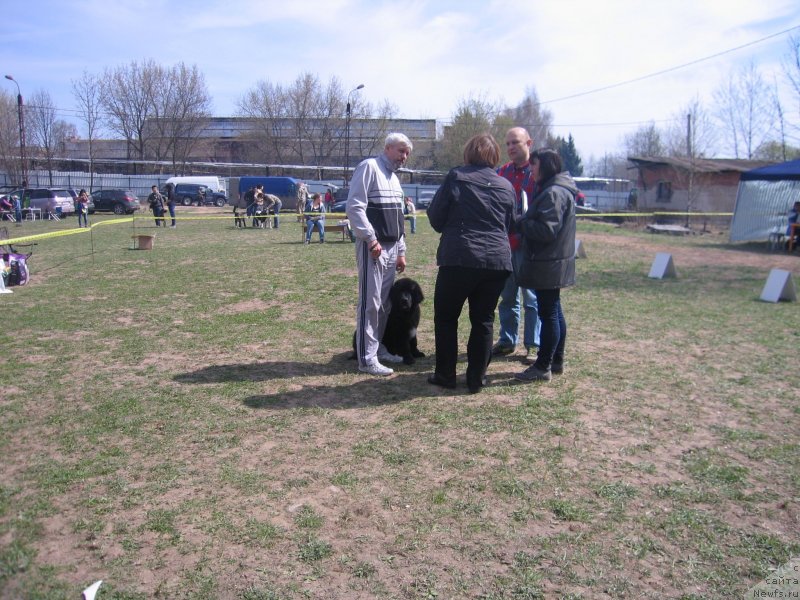 Фотография № 151945