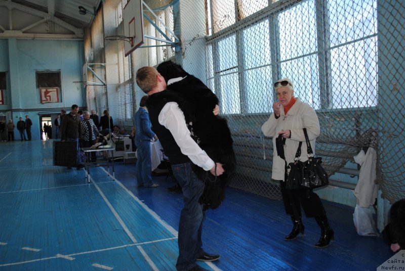 Фотография № 151952