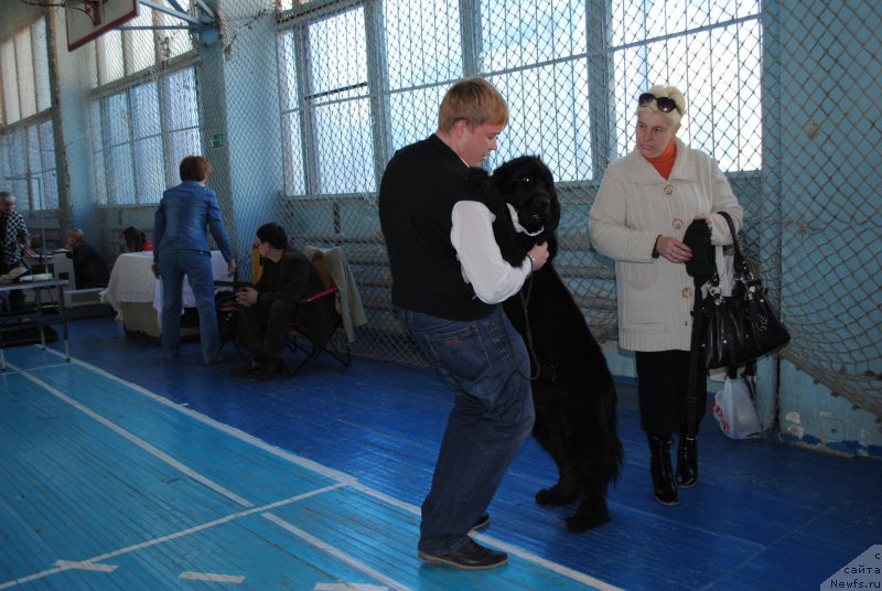 Фотография № 151953