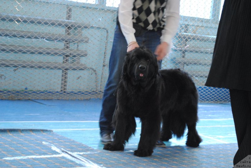 Фотография № 151954